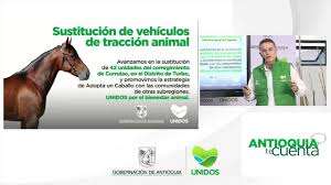 anˈtjokja (listen)) is one of the 32 departments of colombia, located in the central northwestern part of colombia with a narrow section that borders the caribbean sea. Gobernacion De Antioquia Unidos Por El Bienestar Animal Facebook
