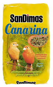 Image result for Canarina