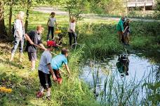 Pond Life Detectives