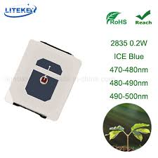 3 watt vs 5 watt leds. China Expert Manufacturer Of Led Grow Lights 480nm 490nm 0 2w 3 5lm 2835 Smd Led With Rohs China Led Grows Light Horticulture Lighting