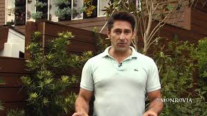 Jamie durie is a qualified horticulturalist best known for hosting the australian lifestyle program, the outdoor room. Who Is Jamie Durie Wiki Family Married Nationality Wedding Parents
