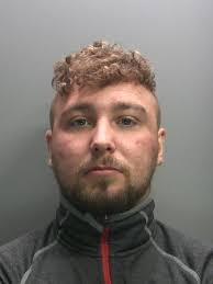 Dillon Broderick's Instagram, Twitter & Facebook