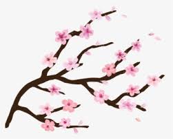 To created add 27 pieces, transparent cherry blossom png images images of your project files with the background cleaned. Cherry Blossom Png Images Free Transparent Cherry Blossom Download Kindpng
