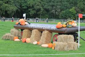 Zara phillips and mike tindall/ via getty images. Zara Phillips Ist Schwanger Update Reiterzeit