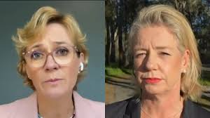 NQ Dry Tropics workshop shows that fine-tuning breeder herds leads to  profitability and resilience