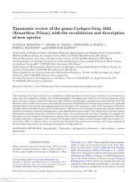 For as long as grey's anatomy has been around, dr. Pdf Taxonomic Review Of The Genus Cyclopes Gray 1821 Xenarthra Pilosa With The Revalidation And Description Of New Species