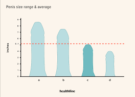 Penis size compariso