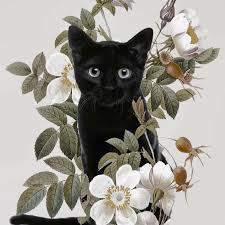 Check spelling or type a new query. Cat With Flowers Duvet Cover Tatouage De Chat Noir Dessin De Chat Noir Tatouage De Chat