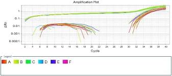 How To Adjust The Baseline Of Real Time Pcr