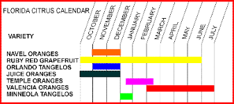 Florida Citrus Calendar Fund Raising