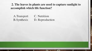 The seeds can be planted on sand and takes 20 hours to grow. Unit 11 Simple Organisms Ppt Download