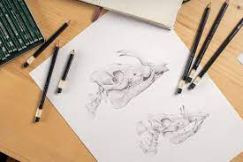 How To Preserve Pencil Drawings And Illustrations Domestika