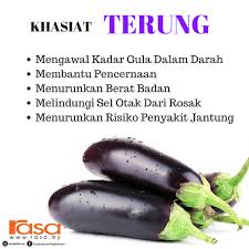 Ciri khas yang paling terlihat dari ayam cochin adalah banyaknya bulu yang ada di bagian kakinya. My Kuali Jenis Sayur Dan Khasiatnya
