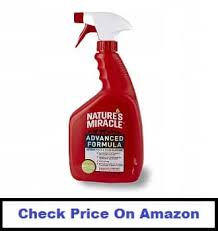 Accidents happen, so be prepared with an enzyme spray. Best Enzyme Cleaner For Dog Urine 2021 Reviews Bestultrareviews