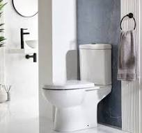 Sanitario Wc Moderno Rotondo Monoblocco con sedile Soft Close e Pulsante di  Scarico Nero - Ashbury