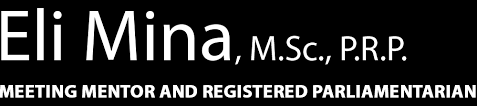 Eli Mina Consulting