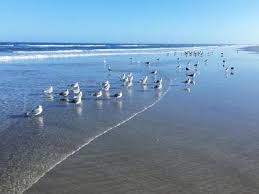 My seat assignment was changed for no reason, and i didn't have a say in it. 9 Best Jacksonville Florida Beaches