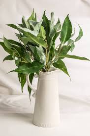 Maybe you would like to learn more about one of these? Artificial Flocked Lamb S Ear And Eucalyptus Bundle In Two Tone Green Save On Crafts