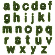Vector letters of juicy grass alphabet. Grass Alphabet Letters Stock Illustrations 1 570 Grass Alphabet Letters Stock Illustrations Vectors Clipart Dreamstime