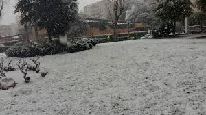 Además, no faltan todo tipo de tablas o trineos para lanzarse por la nieve. La Nieve Cuaja En Aluche Guia De Aluche
