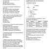 You must use adobe acrobat reader/professional x or higher to open the secure pdf files of scoring materials. 1