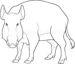 How to draw a tarsier. How To Draw A Boar Wild Boar Step By Step Drawing Guide By Dawn Dragoart Com