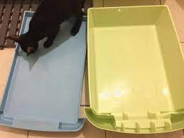 貓咪 各種類貓砂比較 附濕食家庭的貓砂盆推薦