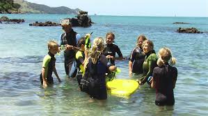 Whangarei Harbour Marine Reserve Places To Go In Northland