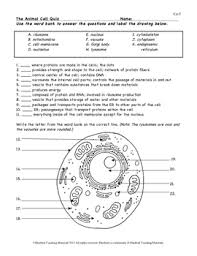 Learn vocabulary, terms and more with flashcards, games and other study tools. Animal Cell Color Page Worksheet And Quiz Ce 3 By Bluebird Teaching Materials