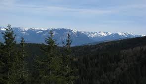 Check spelling or type a new query. Short Seattle Area Hikes That Are Good For Kids Seattle S Child