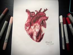 It's a distinctly human experience. cecilia paredes Painting Artistic Anatomical Heart Drawing Novocom Top
