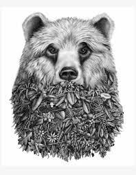 People are arguably the most difficult subject to draw realistically. Back To Top Realistic Bear Face Drawing Free Transparent Png Download Pngkey