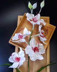 dip水晶花中級認證 蝴蝶蘭 コチョウラン diy and crafts crafts gift wrapping