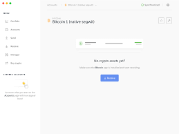 How to use bitcoin how to accept bitcoin. Adding A Btc Bitcoin Account And The Name Is Set To Bitcoin 1 Native Segwit Is This The Fork Or The Original Bitcoin Ledgerwallet