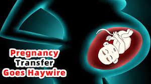 Female Body Swap With My Pregnant Girlfriend Boy To Girl Tg Tf Story Youtube
