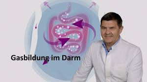 Teilen sie informationen und ratschläge mit menschen, die von pankreaskarzinom betroffen sind erste soziale netzwerk für patienten und ihre angehörigen. Laboruntersuchung Bei Bauchspeicheldrusenschwache Die Pankreaselastase Im Stuhl Youtube