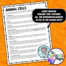Cells & organelles answer key directions: Animal Cell And Organelles Digital Doodle Science Digital Doodles