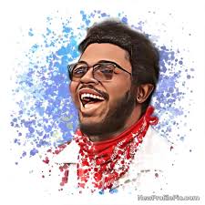 What is tour option about this commander?