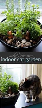 How To Make A Diy Indoor Cat Garden The Anti June Cleaver Indoor Cat Garden Cats Diy Projects Cat Garden