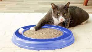 Buy cat amazing sliders interactive treat maze & puzzle cat toy at chewy.com. The Best Cat Toys From Amazon And Chewy Reviewed