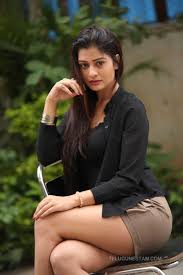 We also feature tv actresses, models and other celebrities' hot and spicy images. Payal Rajput Telugu Actress Hot Photos Telugu Actress