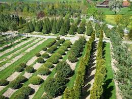 Sichern sie sich kostenlos die besten tipps und tricks der gartenprofis von. Gartnerei Schwitter Ag Garten Ch