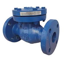 PN25 Cast Iron Flanged Swing Check Valve - HVAC Select