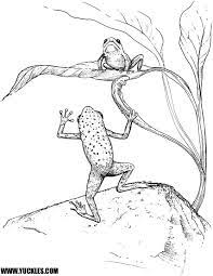 Supercoloring.com is a super fun for all ages: Tree Frog Coloring Page By Yuckles Frog Coloring Pages Owl Coloring Pages Coloring Pages