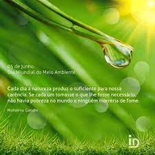 Cada vez mais o meio ambiente ganha destaque nos debates. 5 De Junho Dia Mundial Do Meio Ambiente Frases Meio Ambiente Meio Ambiente Frases Engenharia Ambiental