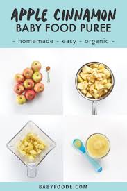 7 Organic Baby Food Recipes For 20 Complete Guide Baby Foode Baby Food Recipes Easy Homemade Baby Food Healthy Baby Food