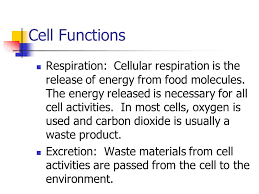 Maybe you would like to learn more about one of these? Cell Theory All Living Things Are Composed Of One Or More Cells Ppt Video Online Download