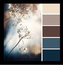 Black Brown Tan And Navy Indigo Blue
