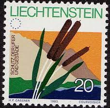 nevzat nevzat adli kullanicinin pullar panosundaki pin goruntuler ile