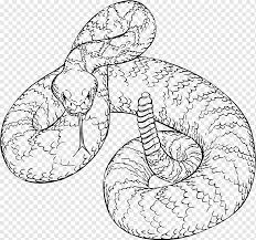San diego zoo wildlife alliance. Western Diamondback Rattlesnake Snake Animals Monochrome Vipers Png Pngwing